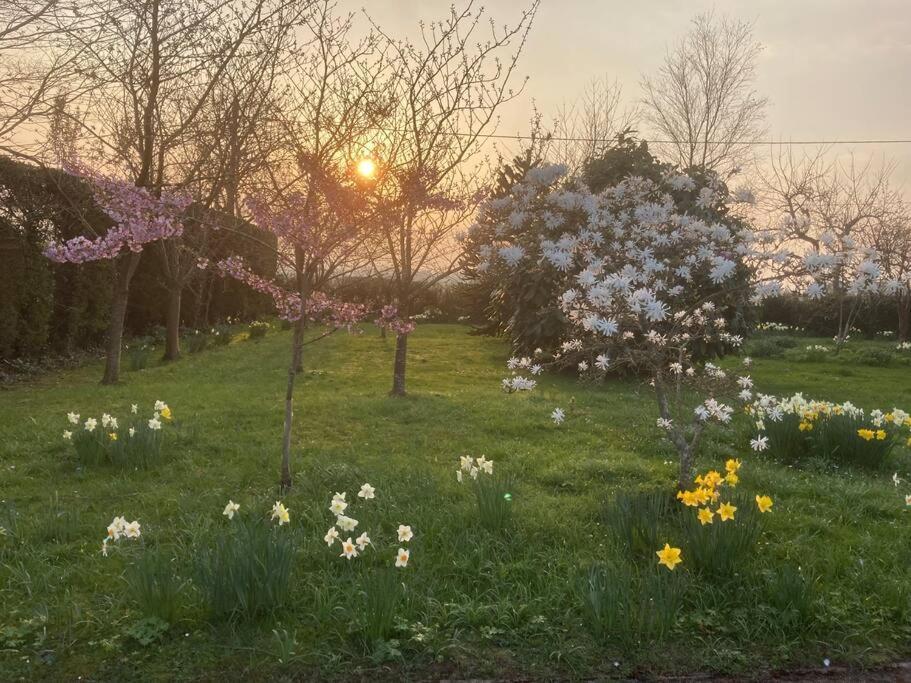 Yellowstone, The Garden