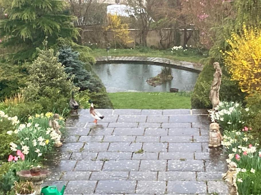Yellowstone, The Garden Radstock