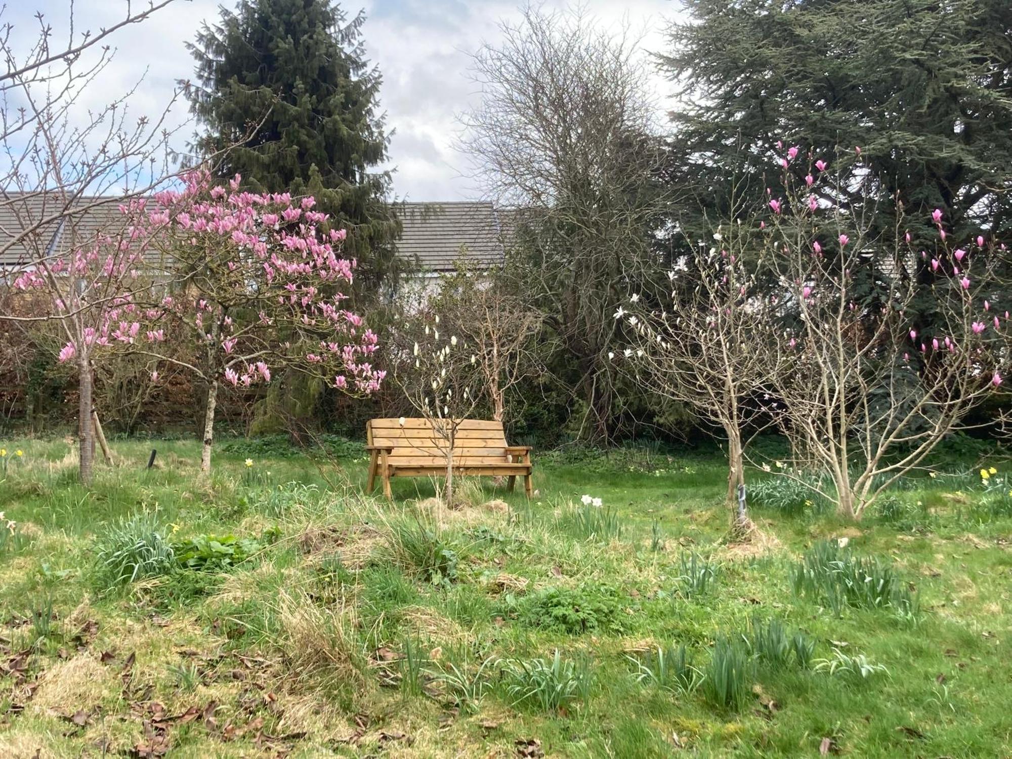 Yellowstone, The Garden Radstock